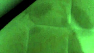 gay verification video