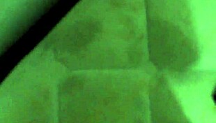 gay verification video