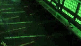 in the open road, two guys fuck passionately under the sun