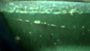 hey, i’m just a gay brasileiro jerking off in the woods, ok?