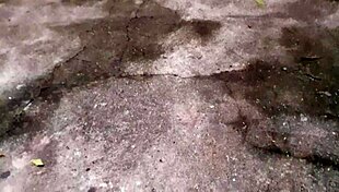 hey, i’m just a gay brasileiro jerking off in the woods, ok?