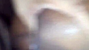 i walked with my girlfriend in the forest and we had sex