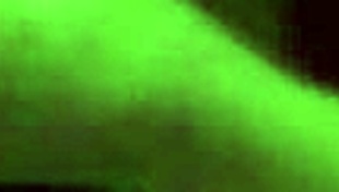 Exploring the world of adult entertainment