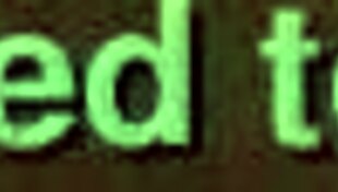 Exploring the world of adult entertainment