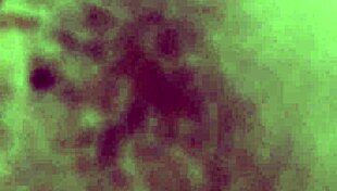 Gay Anal Video from March 7, 2017