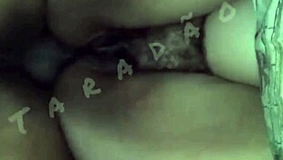 i'm pounding that hairy ebony pussy hard