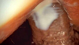 i'm a big booty slut craving that monster cock