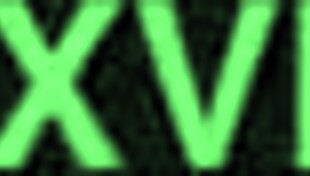 20151231 230006 arab cowgirl riding session