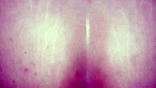 i got a big ass from this real amateur babe, but i think its even bigger than i thought