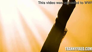 Kira Noir And Eva Maxim In Hardcore Transsexual Action!