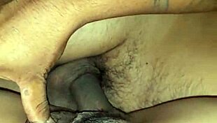 latina amateur gives great interracial pussy fuck that tastes amazing