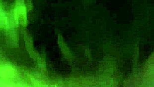 bbw gives a casual blowjob in everyday setting