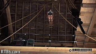 i'm into sadomasochism with amateurs, it's so intense and fun