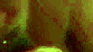 Homemade Video Captured on July 4, 2016