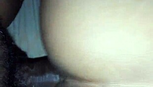 Slutty Milfs Seeking Random Hookups With Big Tits And Asses Bent Over