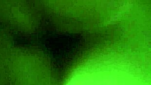 i'm doggying my girl in the hotel, oh yah