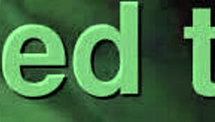 THIS IS FOR YOU, a special something in the gay scene.