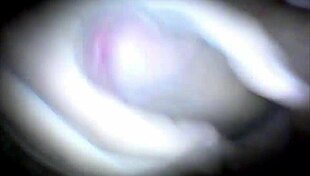 Bisexual masturbates to orgasm follow on twitter