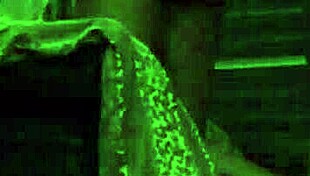 dede bends over for cheating doggystyle blowjob cumshot