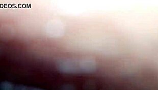 b explores shemale themes