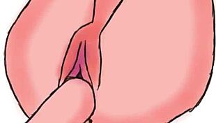 putting it deep in hentai anime