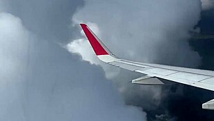 Stewardess gives public blowjob on airplane, caught