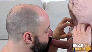 Bearfilms gay bears max horss and john lock engage in hardcore breeding