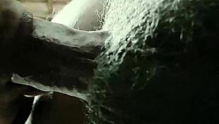 eueu2 gives a casual blowjob in everyday setting