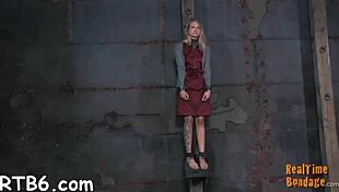 A tough lass endures electrifying nipple torment with sloppy blowjob