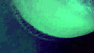 why does this white girl love big black cock in doggystyle?