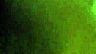 Teen Gets Pussy Licked