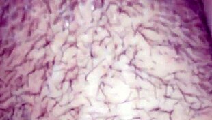 My delicious big-assed woman with hairy features in homemade setting