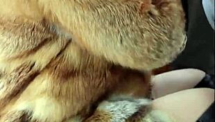 redhead in fur coat fucked in tight ass with high heels and leather gloves