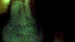 Horny Guy Masturbates His Cock While Watching Lesbian Porn Cumshot