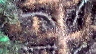 The BBW wife says, 'I love sucking this cock sloppy before getting fucked hard.'