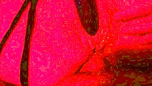 i watch my wife get her tight ass fucked hard in close-up pov