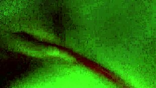 Mexicana Puta Bends Over for Anal Doggy Fuck