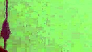 kinky bombshell gets cumshot on face eating jizz