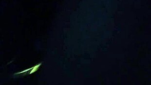 This beautiful chocolate lady gets the doggy from behind