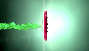 Reencontrando Um Velho Amigo Fiquei Toda Molhadinha Assanhada Louca Para Dar O Cu