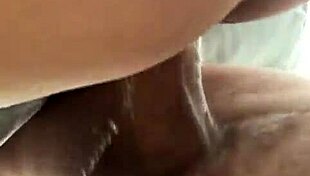 bbw enjoys wet pussy fucking in homemade pov. she spreads wide for intense action.