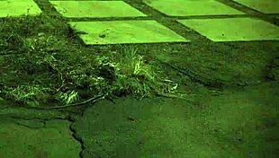 teen strips for bf, 'unless you're from the sixties and dig that earth?'