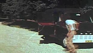 two centuries of vintage bondage with hairy bound captives. intense retro bdsm scenes unfold.