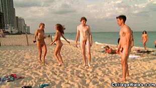 स्प्रिंग ब्रेक