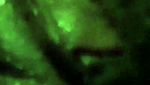 She VIBRATED her HAIRY ebony PUSSY until ORGASM