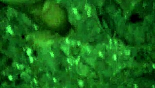 me and my friend share a casual story together.