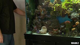 margo sullivan gets a rough facial after wanking big tits