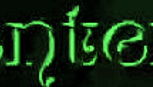 Dark Lantern Presents Stiff Prick Confessions