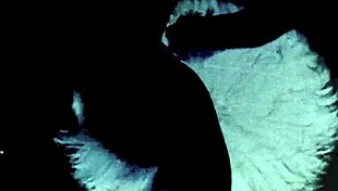 my secret life vintage bisexual threesome group