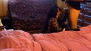 Risky cock sucking session with big tits amateur in wild action